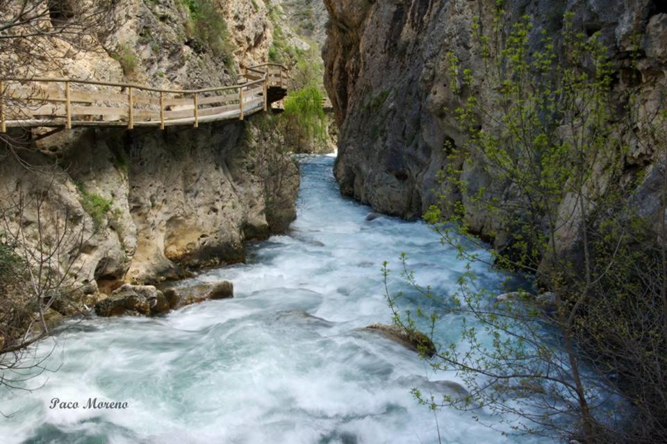 Alojamiento Rural, Cueva De La Abuela Cuevas del Campo Eksteriør billede