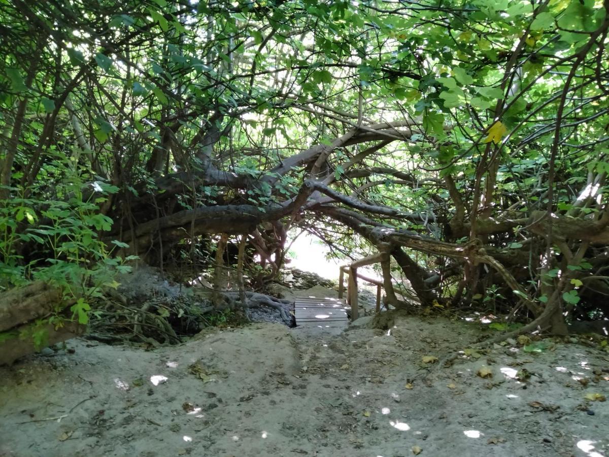 Alojamiento Rural, Cueva De La Abuela Cuevas del Campo Eksteriør billede